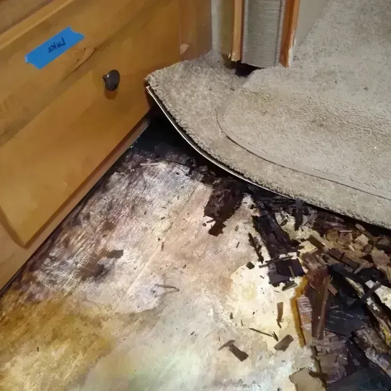 Wood Floor Water Damage in Grandview, OH